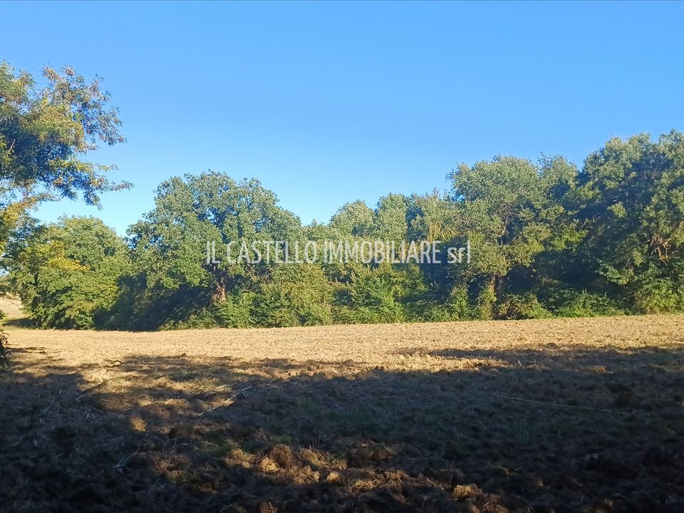 Helårsgrund i Sarteano, Siena - foto 3