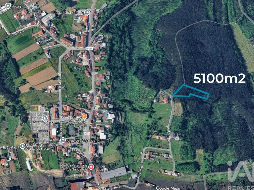 Helårsgrund i Anadia, Aveiro - foto 2