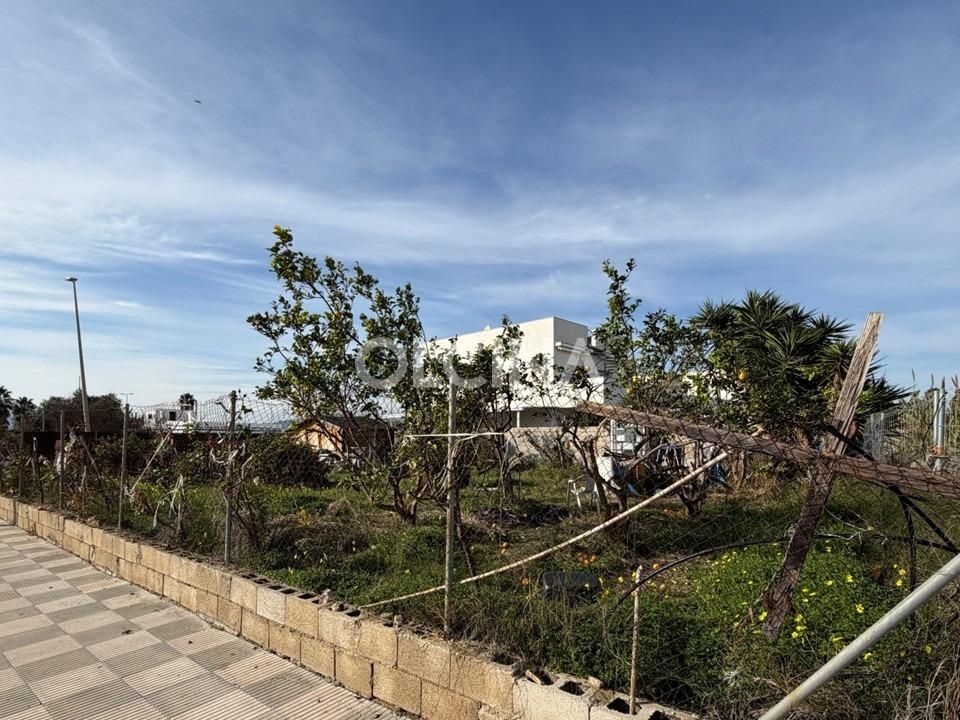 Helårsgrund i Bellreguard, Valencia - foto 5