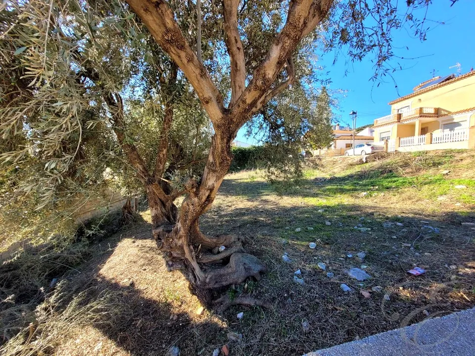 Helårsgrund i Mondron, Malaga - foto 3