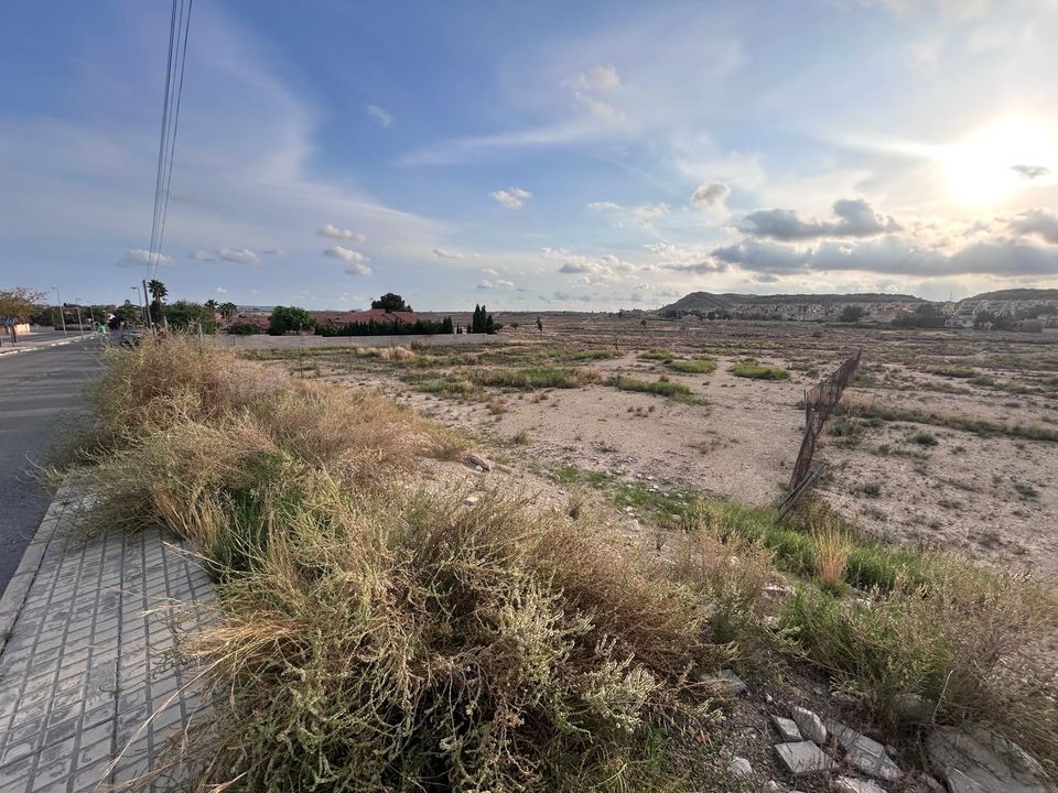 Terra a Mutxamel, Alicante - foto 4
