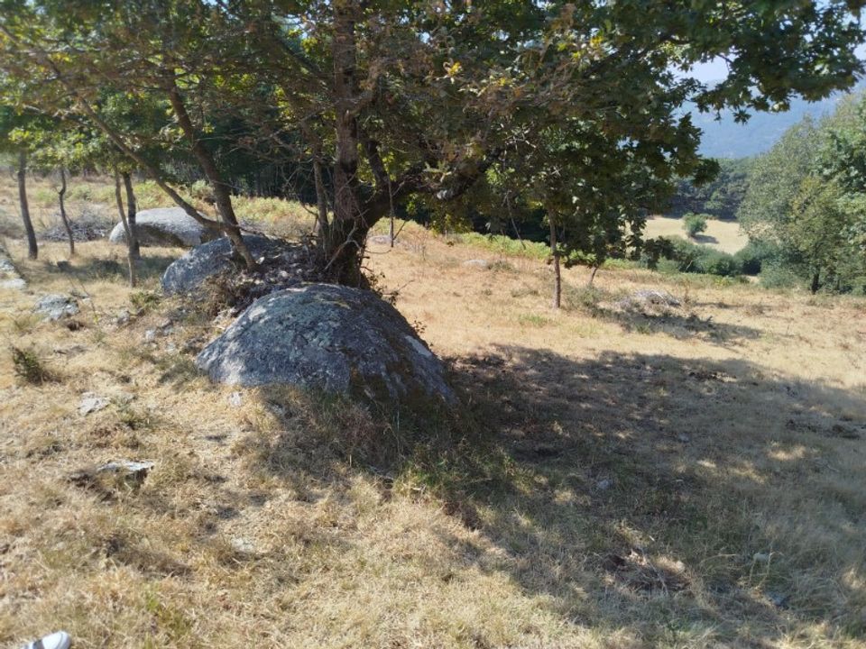 Helårsgrund i Ponte de Lima, Viana do Castelo - foto 5