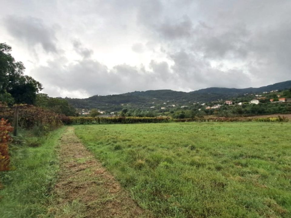 Farm i Ponte de Lima, Viana do Castelo - foto 4