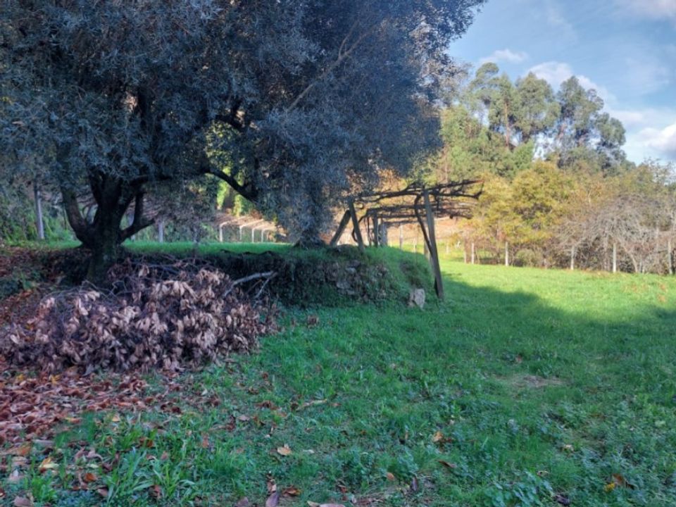Helårsgrund i Ponte de Lima, Viana do Castelo - foto 1