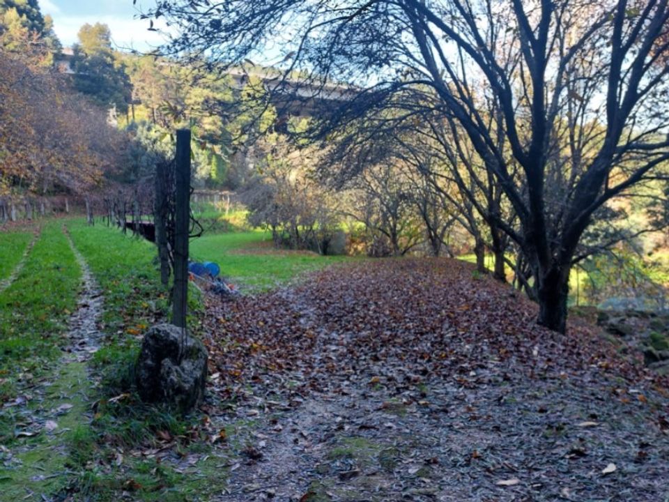 Helårsgrund i Ponte de Lima, Viana do Castelo - foto 4