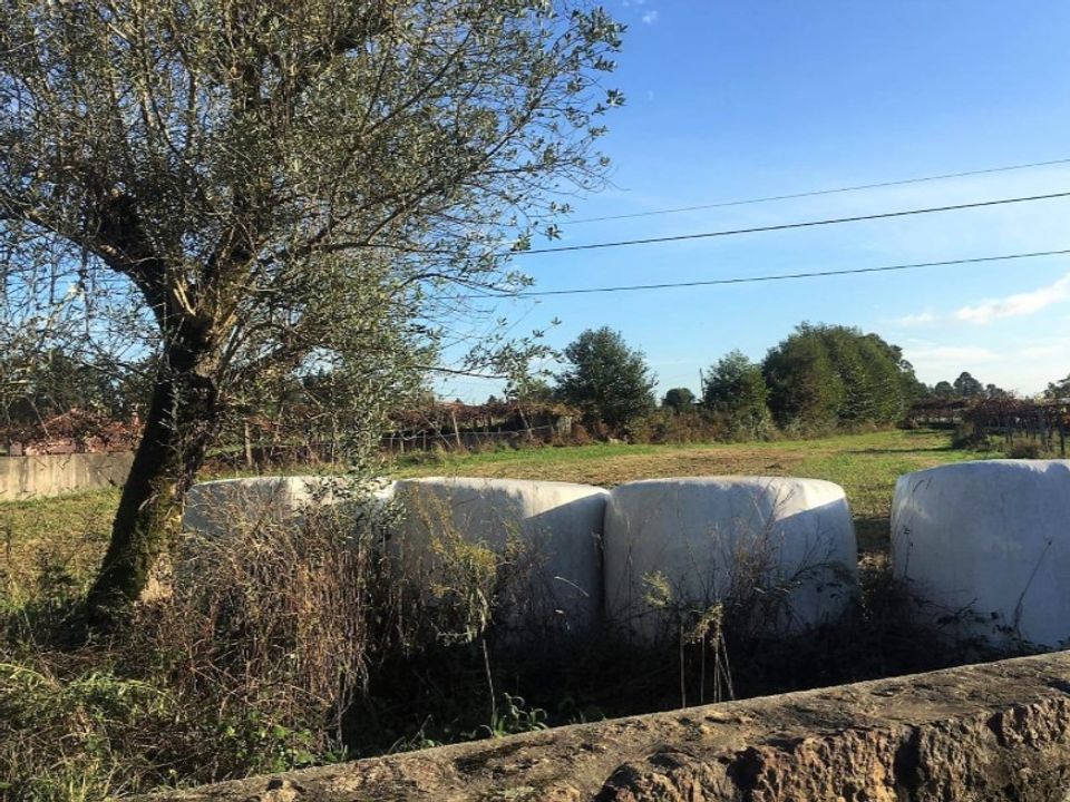 Helårsgrund i Ponte de Lima, Viana do Castelo - foto 4