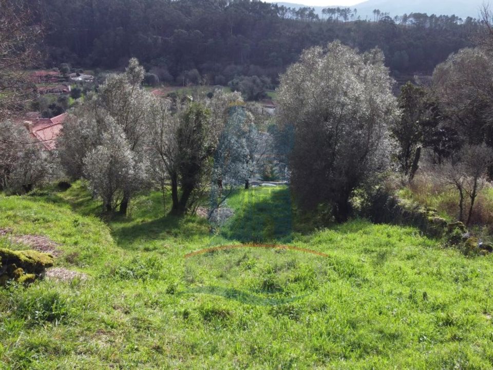 Helårsgrund i Serdedelo, Viana do Castelo - foto 4