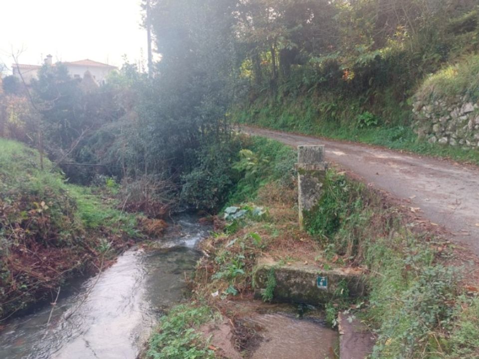 Helårsgrund i Ponte de Lima, Viana do Castelo - foto 5