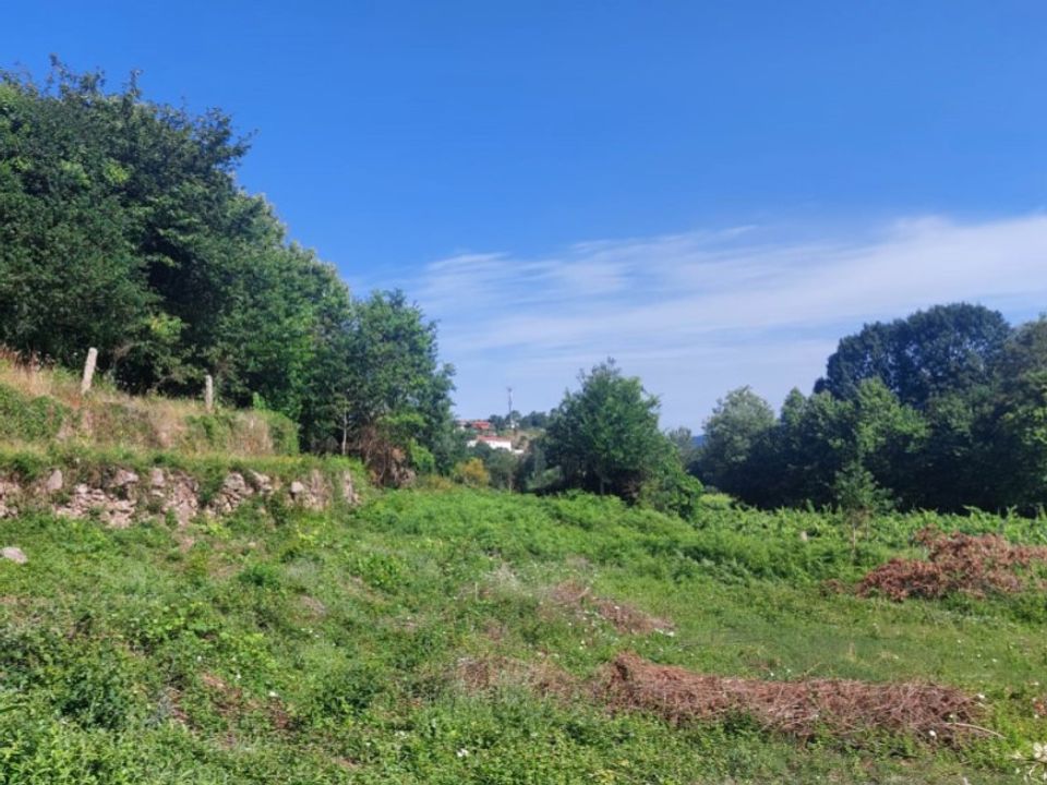 Helårsgrund i Ponte de Lima, Viana do Castelo - foto 1