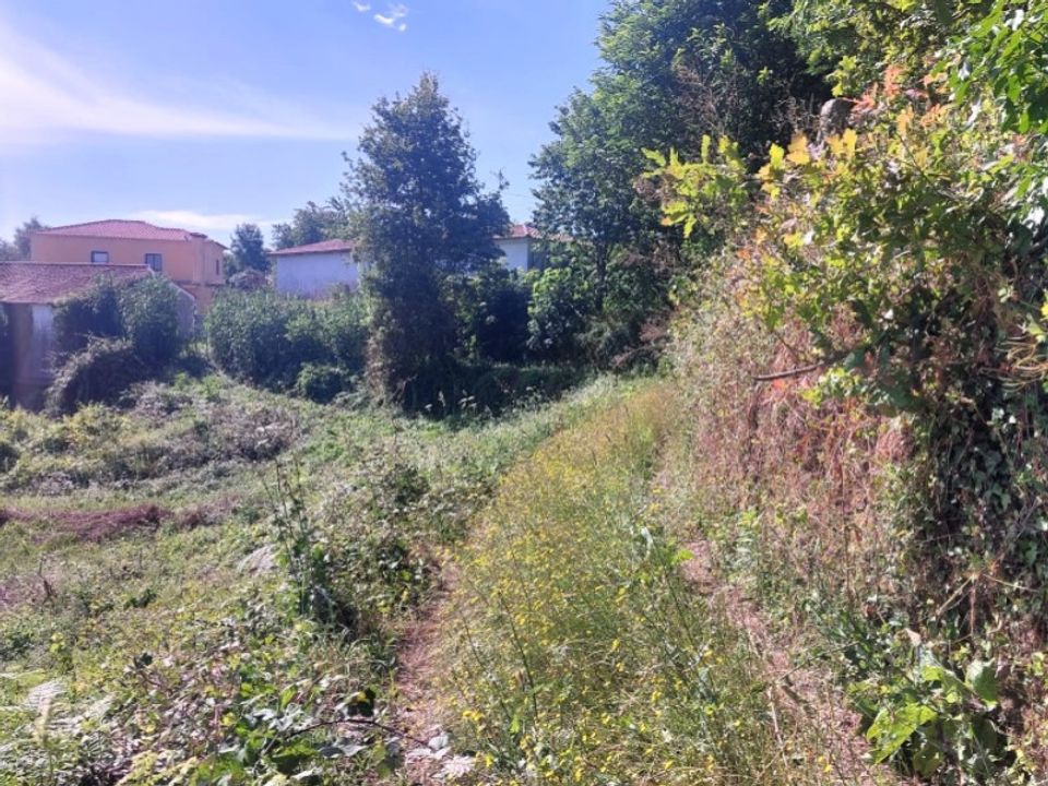 Helårsgrund i Ponte de Lima, Viana do Castelo - foto 5