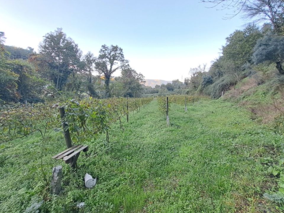 Helårsgrund i Ponte de Lima, Viana do Castelo - foto 3
