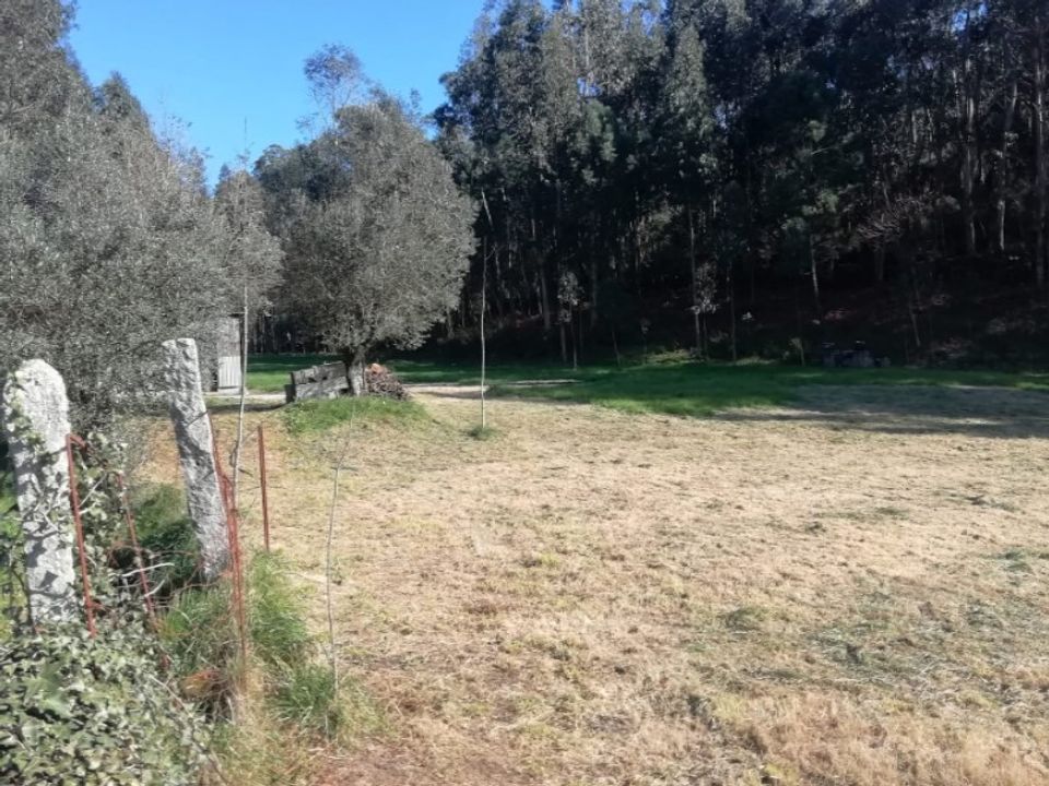 Helårsgrund i Barroselas, Viana do Castelo - foto 2