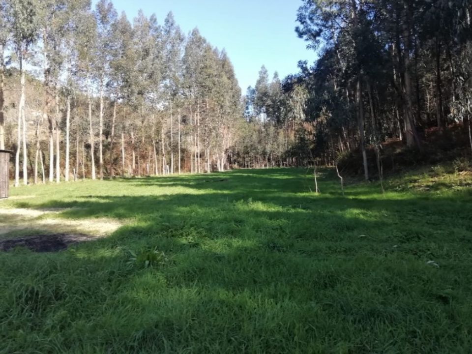 Helårsgrund i Barroselas, Viana do Castelo - foto 5