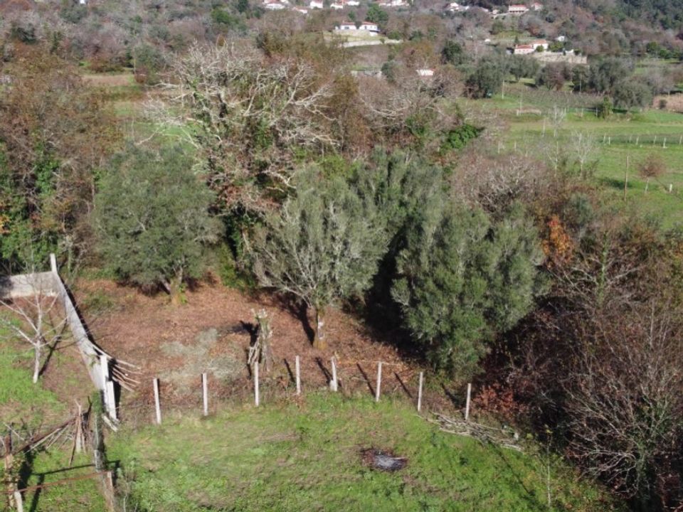 Helårsgrund i Ponte de Lima, Viana do Castelo - foto 1