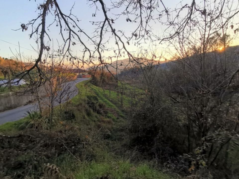 Helårsgrund i Ponte de Lima, Viana do Castelo - foto 2