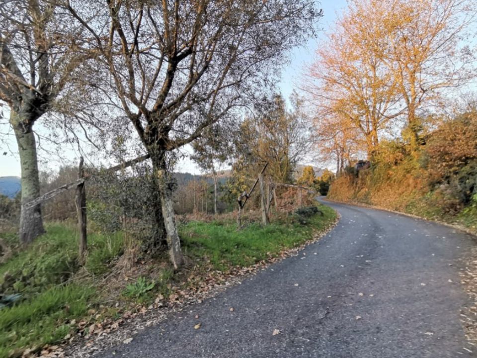 Helårsgrund i Ponte de Lima, Viana do Castelo - foto 3