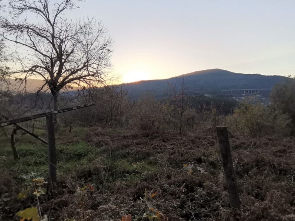 Helårsgrund i Ponte de Lima, Viana do Castelo - foto 4