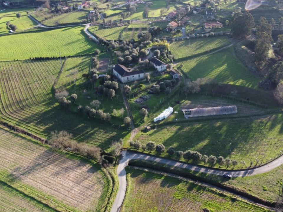 Farm i Ponte de Lima, Viana do Castelo - foto 5