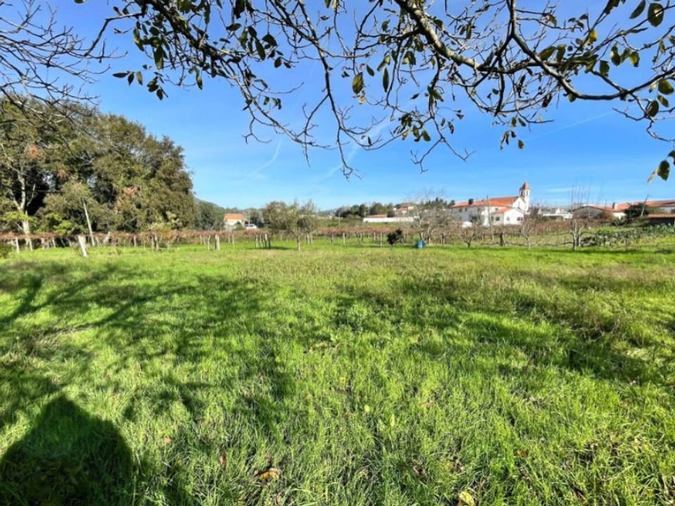 Helårsgrund i Ponte de Lima, Viana do Castelo - foto 4