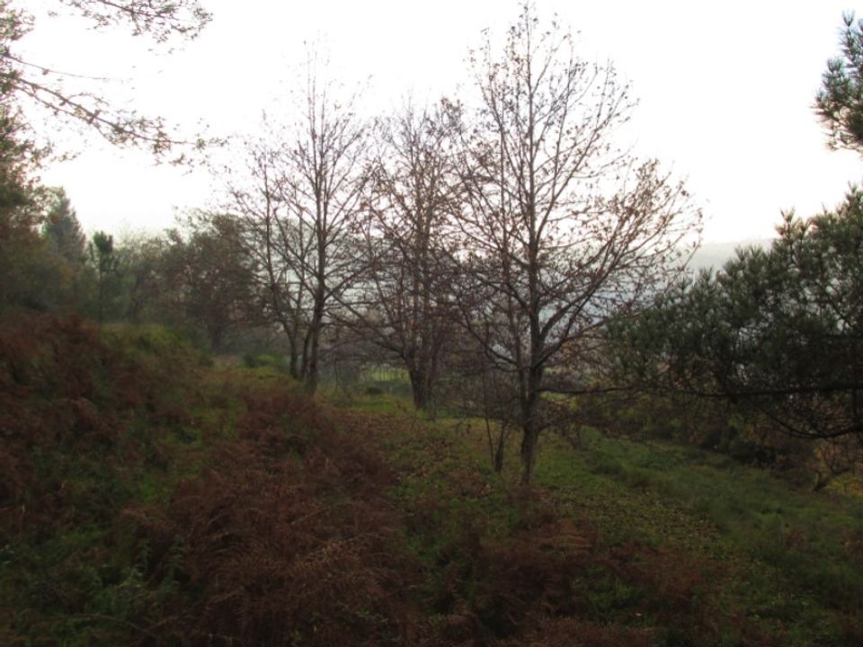 Helårsgrund i Gondufe, Viana do Castelo - foto 5