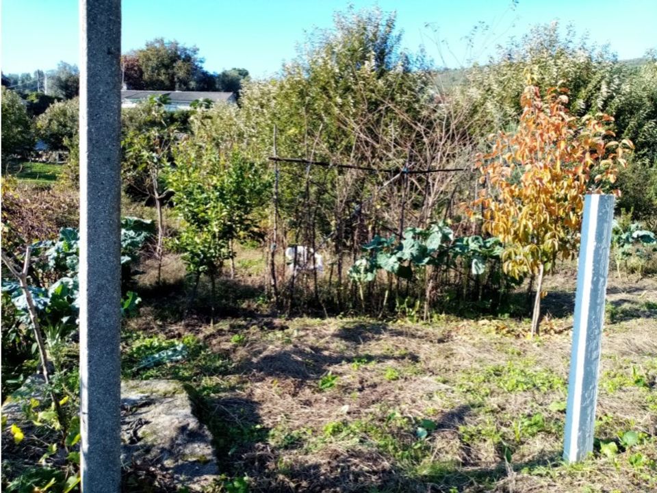 Helårsgrund i Ponte de Lima, Viana do Castelo - foto 3