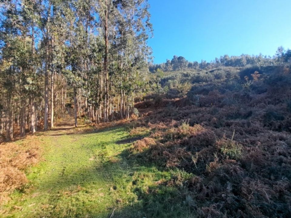 Helårsgrund i Gondufe, Viana do Castelo - foto 1