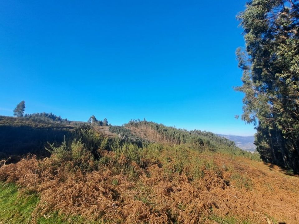 Helårsgrund i Gondufe, Viana do Castelo - foto 2