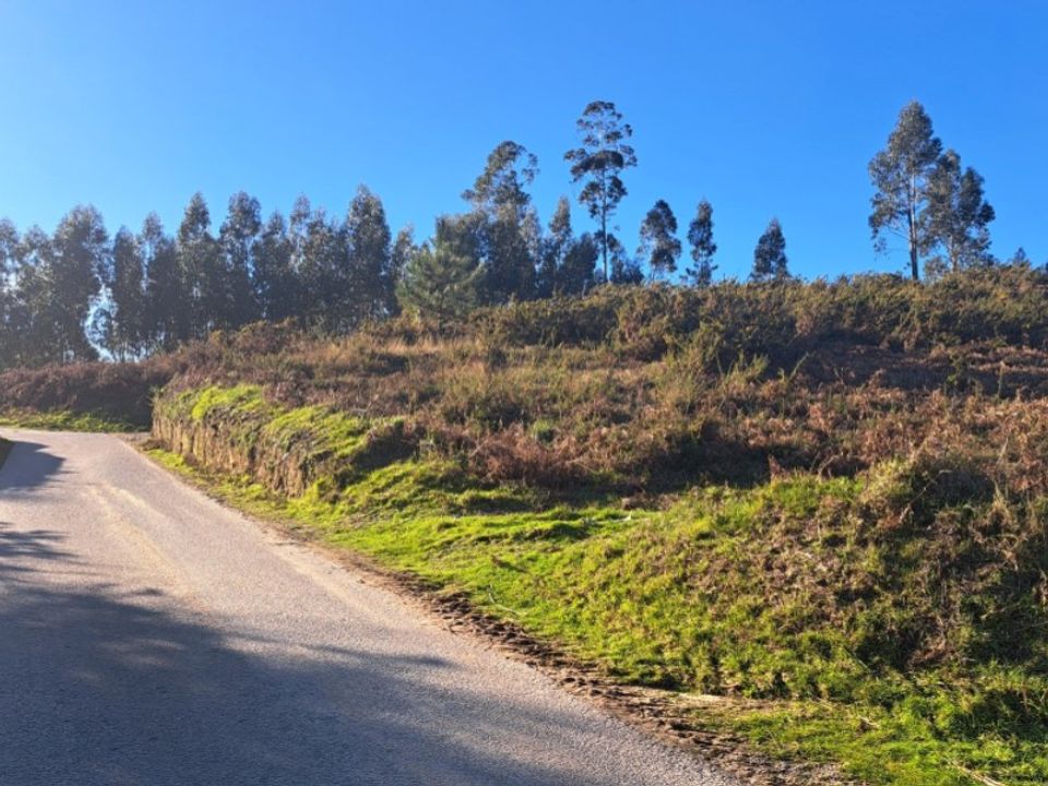 Helårsgrund i Gondufe, Viana do Castelo - foto 3