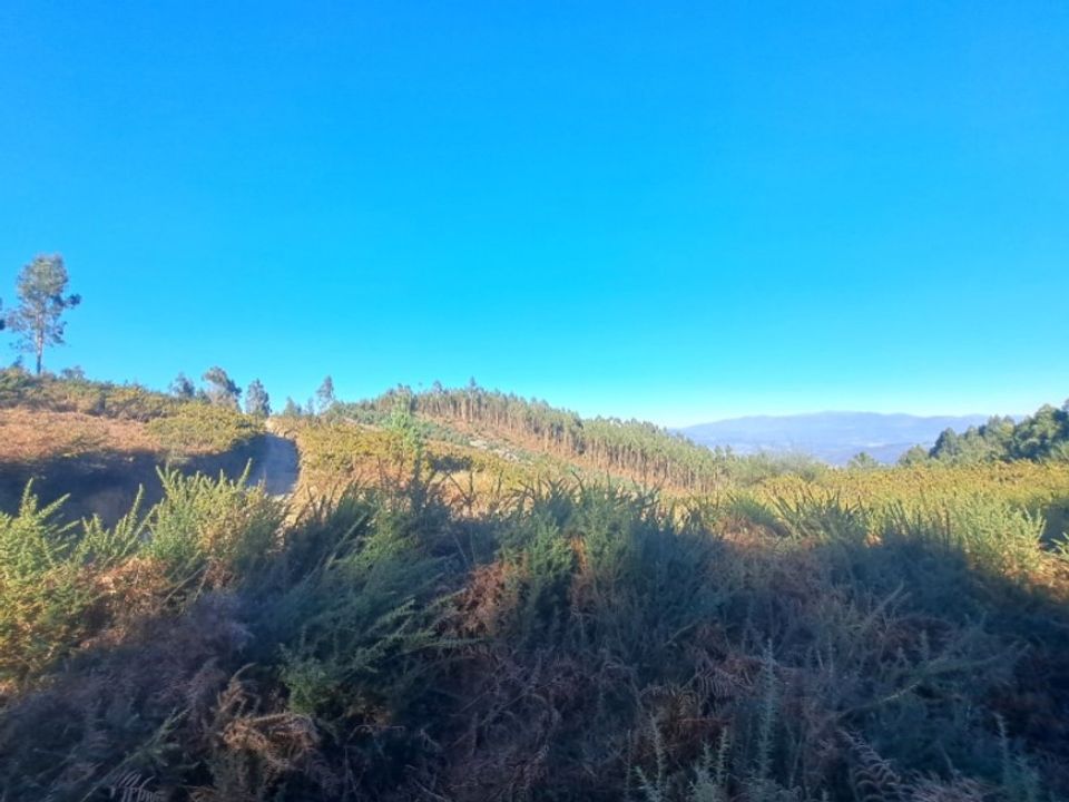 Helårsgrund i Gondufe, Viana do Castelo - foto 4