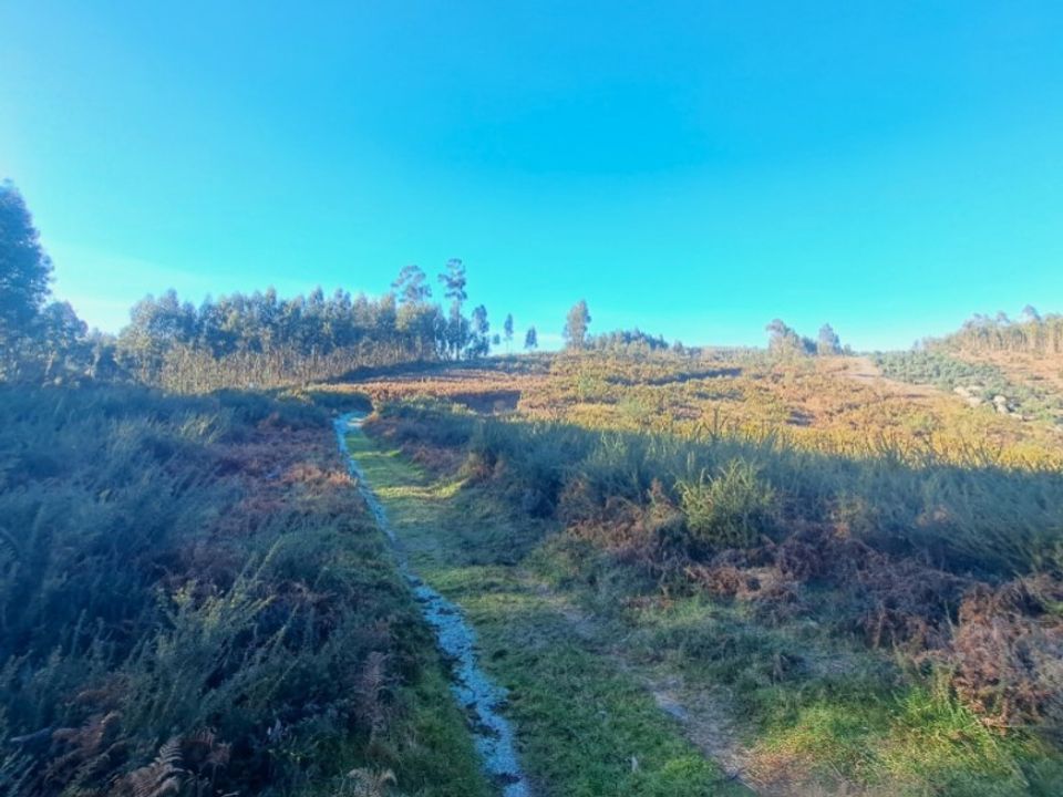 Helårsgrund i Gondufe, Viana do Castelo - foto 5
