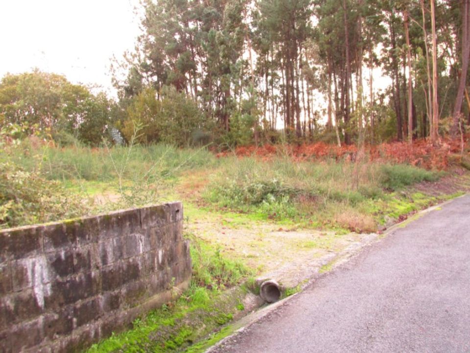 Helårsgrund i Ponte de Lima, Viana do Castelo - foto 3