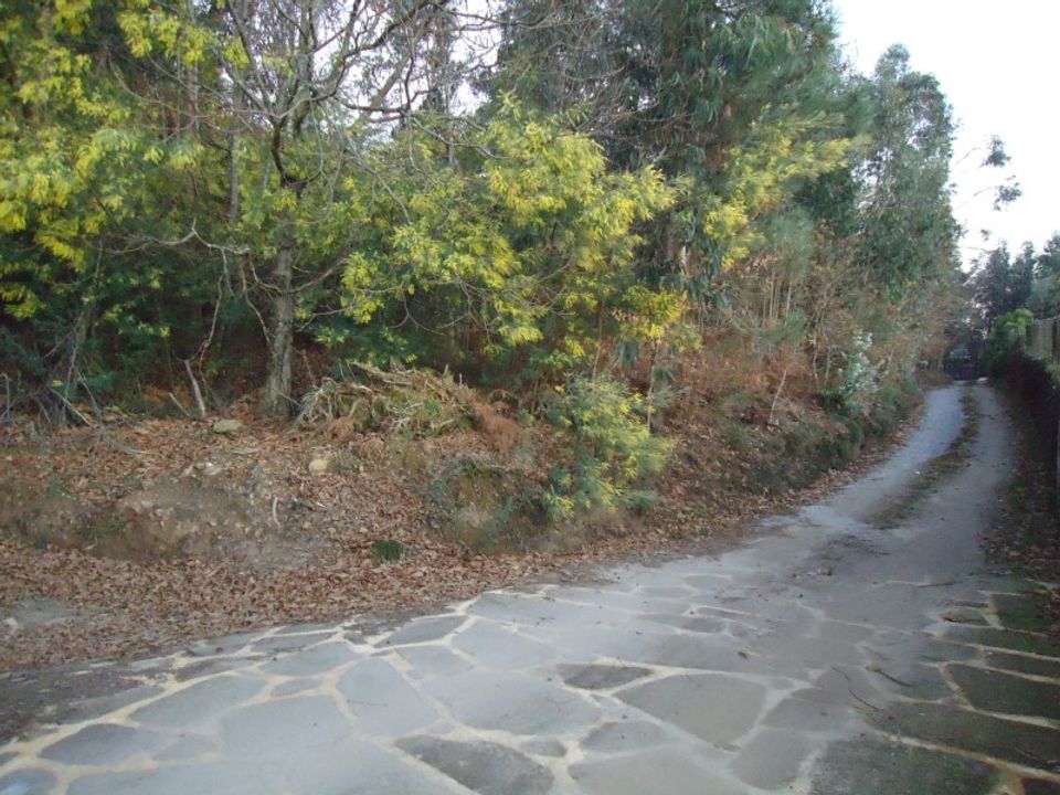 Helårsgrund i Ponte de Lima, Viana do Castelo - foto 2