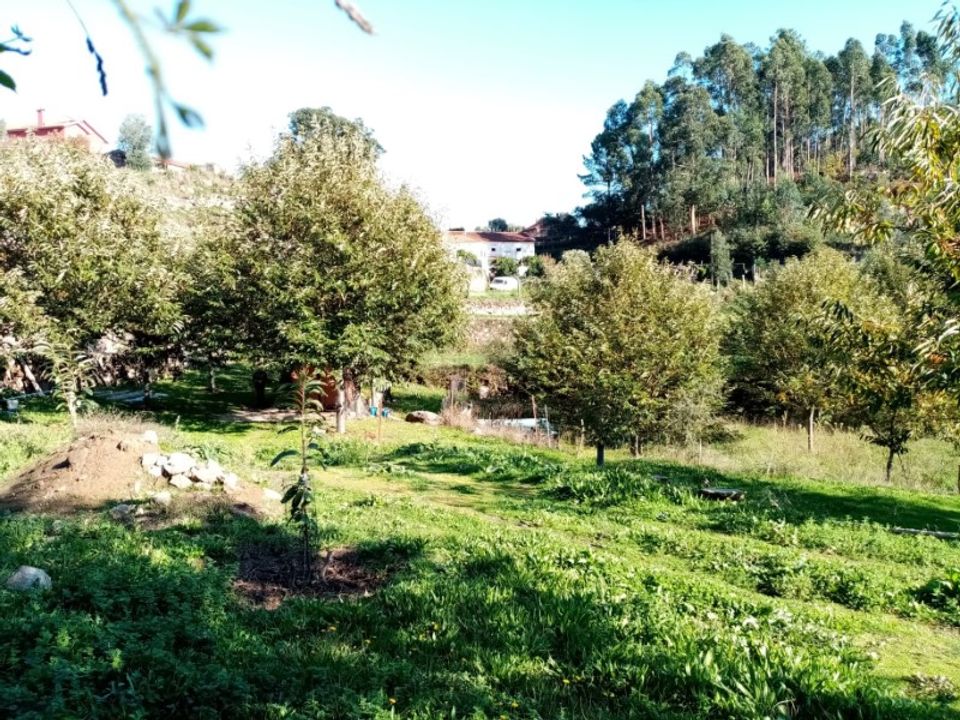 Helårsgrund i Ponte de Lima, Viana do Castelo - foto 3