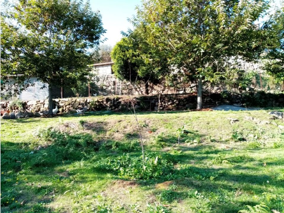 Helårsgrund i Ponte de Lima, Viana do Castelo - foto 4