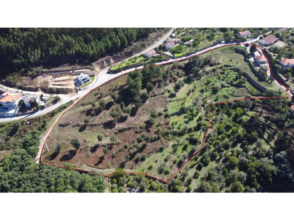Villa i Oliveira de Frades, Viseu - foto 2