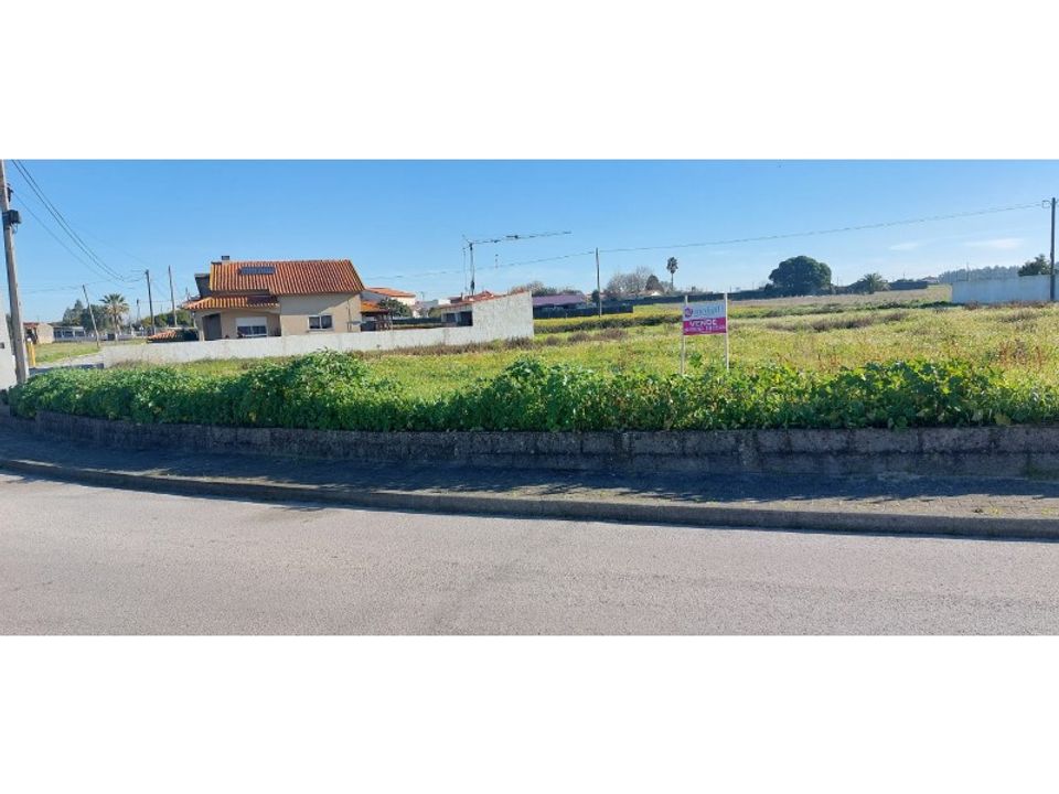 Terra a Monte Real, Leiria - foto 1