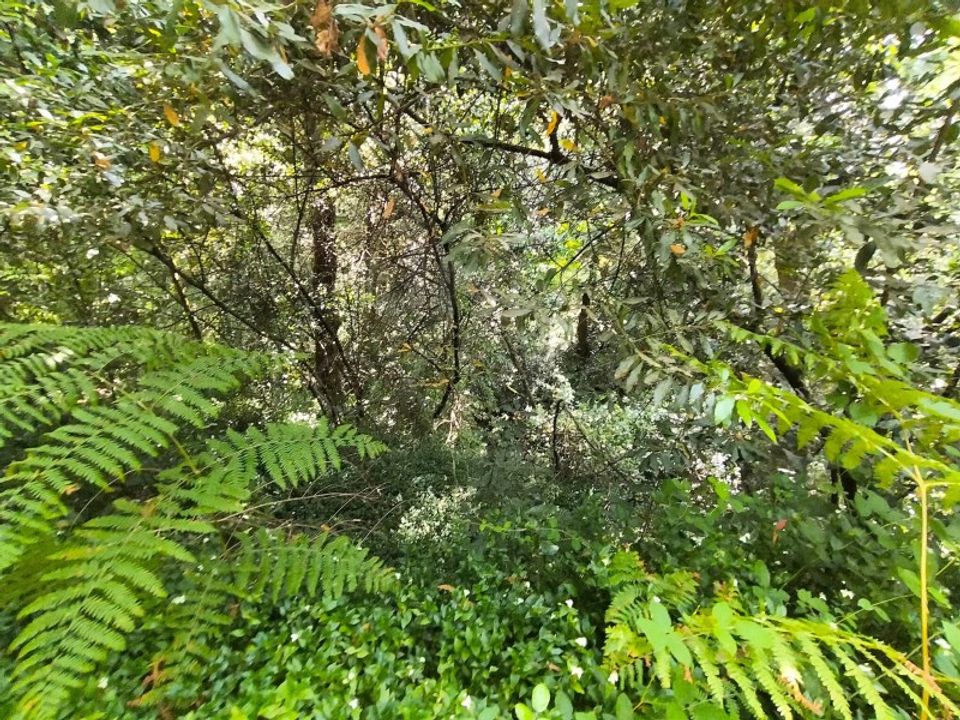 Helårsgrund i Bela, Viana do Castelo - foto 3