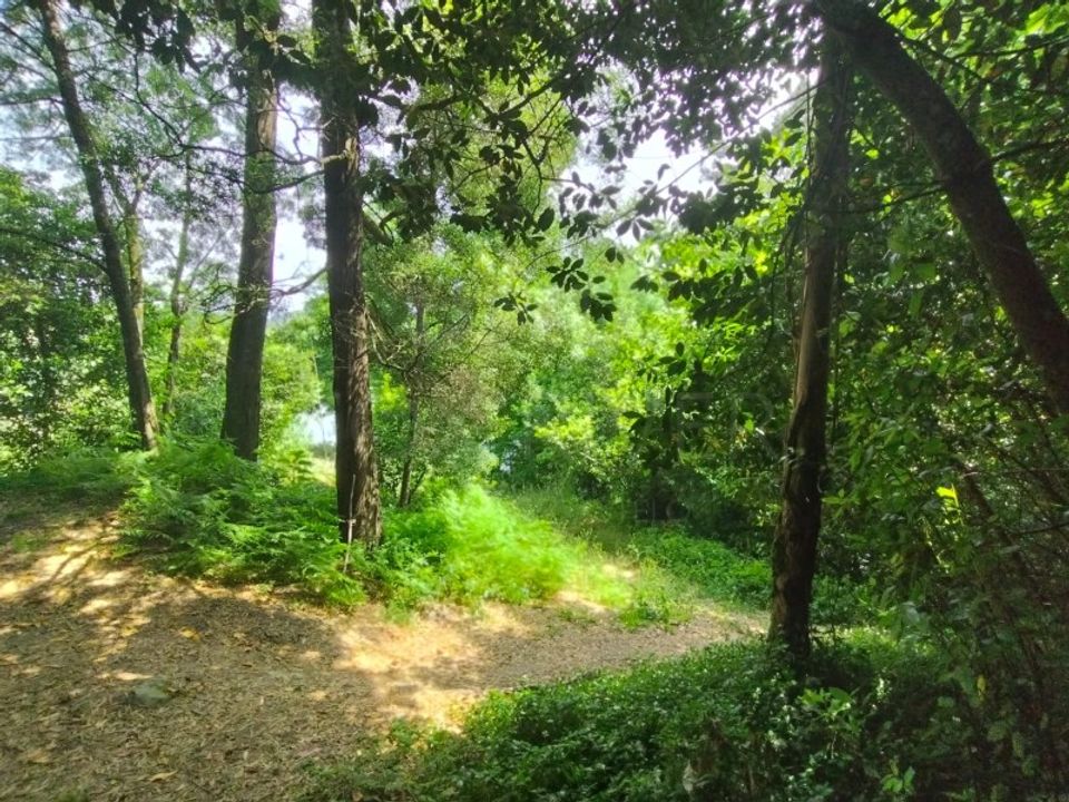 Helårsgrund i Bela, Viana do Castelo - foto 5