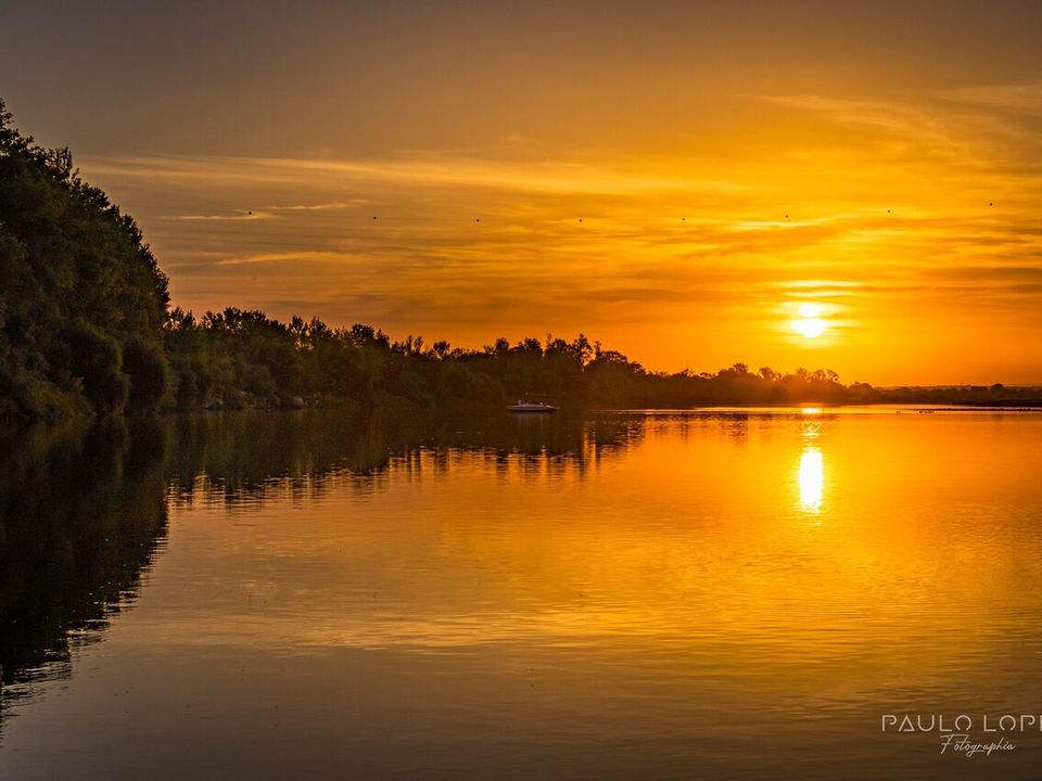Erhvervsejendom i Carregueira, Santarem - foto 4