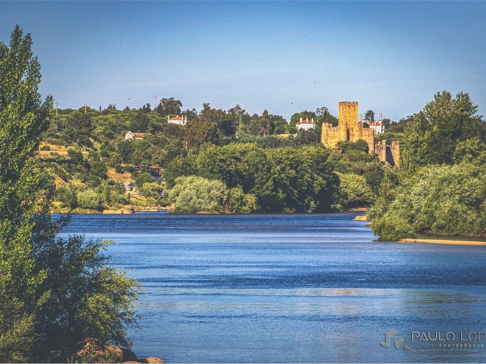 Erhvervsejendom i Carregueira, Santarem - foto 5