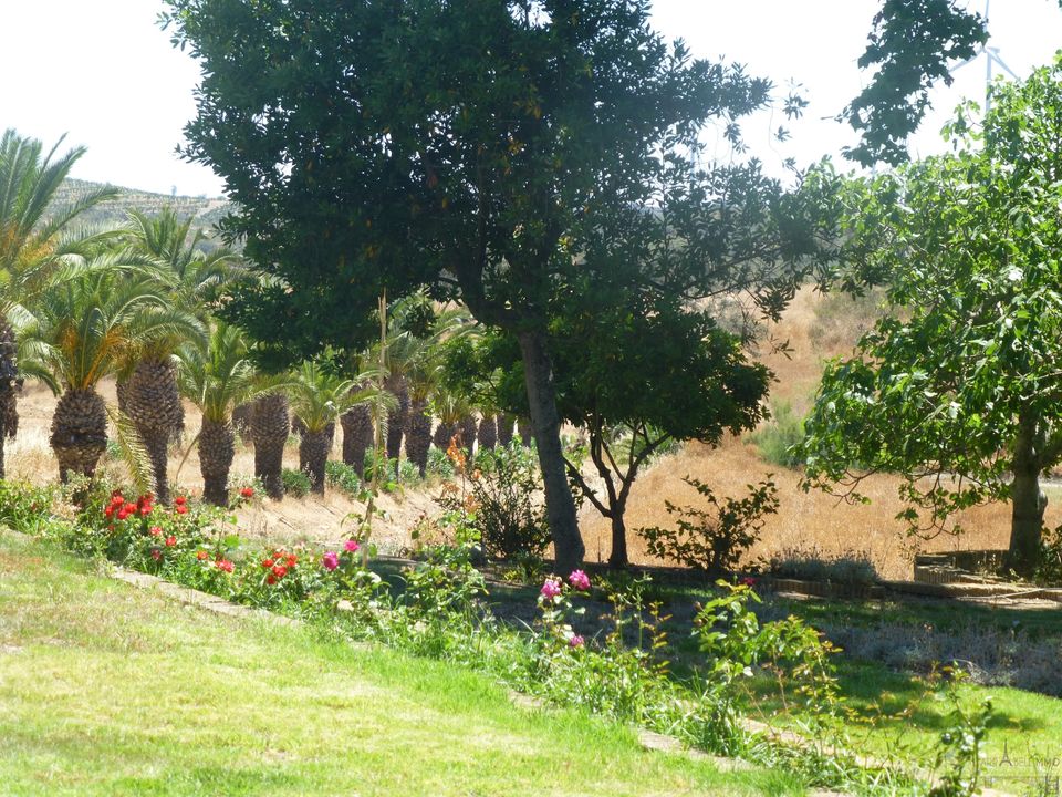 Farm hus i San Silvestre De Guzman, Huelva - foto 1