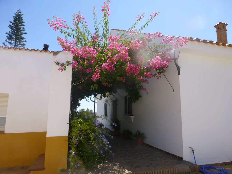 Farm hus i San Silvestre De Guzman, Huelva - foto 3