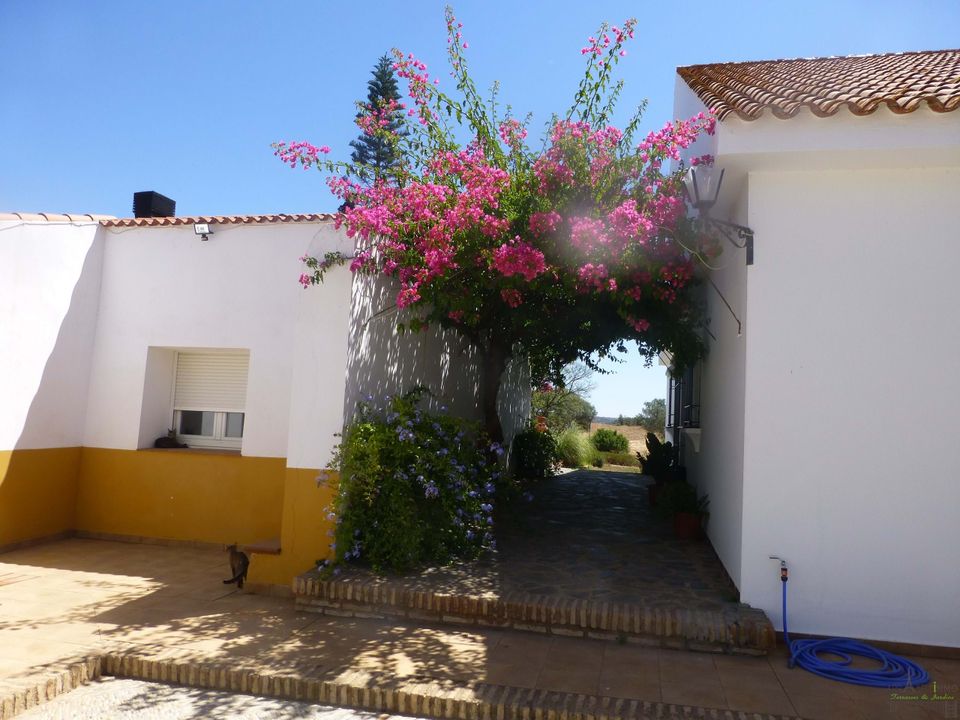 Farm hus i San Silvestre De Guzman, Huelva - foto 4
