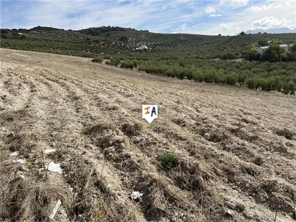 Cortijo i Rute, Cordoba - foto 4