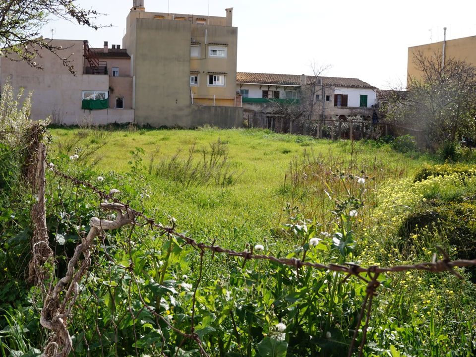 Tomt i Lloseta, Mallorca - bilde 1