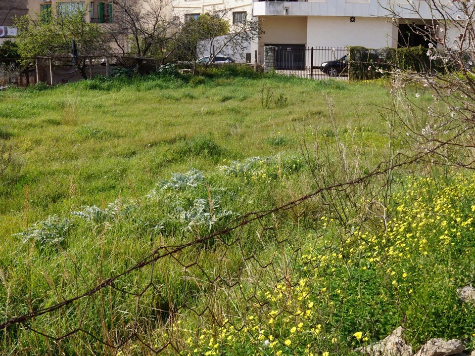 Tomt i Lloseta, Mallorca - bilde 2