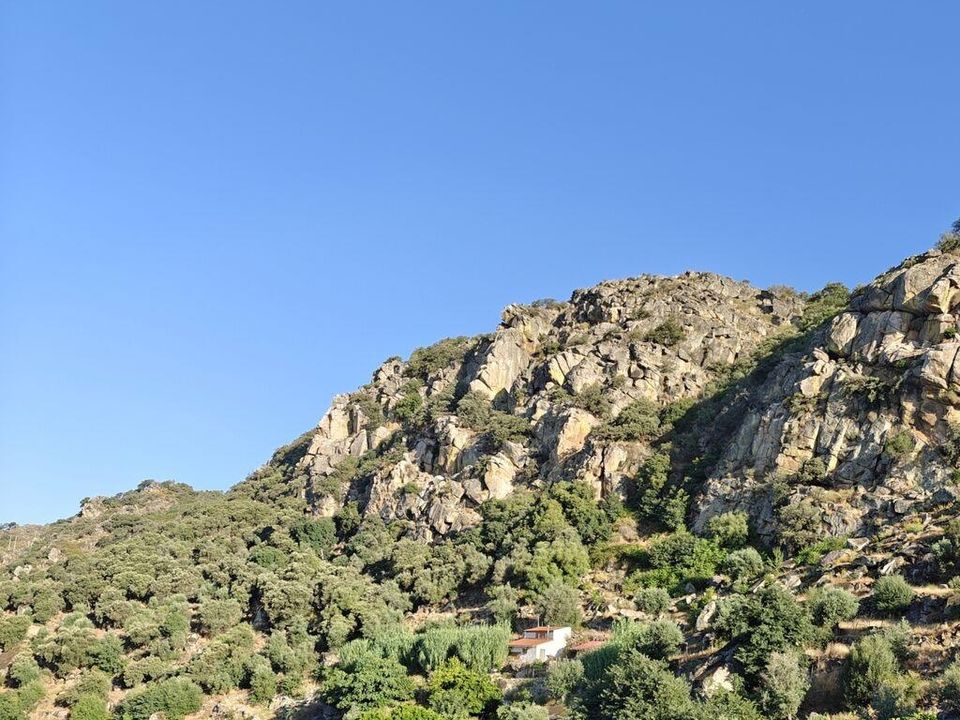Farm i Idanha-a-Nova, Castelo Branco - foto 1