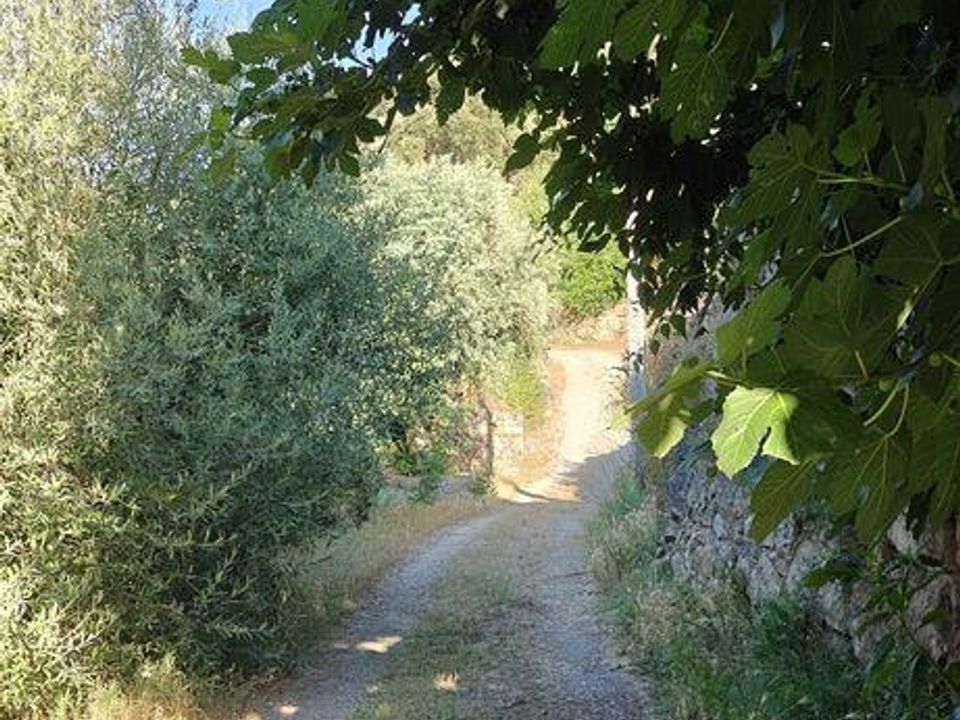 Farm i Idanha-a-Nova, Castelo Branco - foto 2