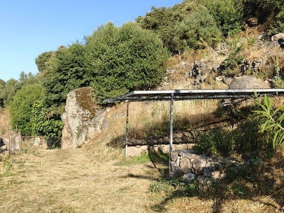 Farm i Idanha-a-Nova, Castelo Branco - foto 3