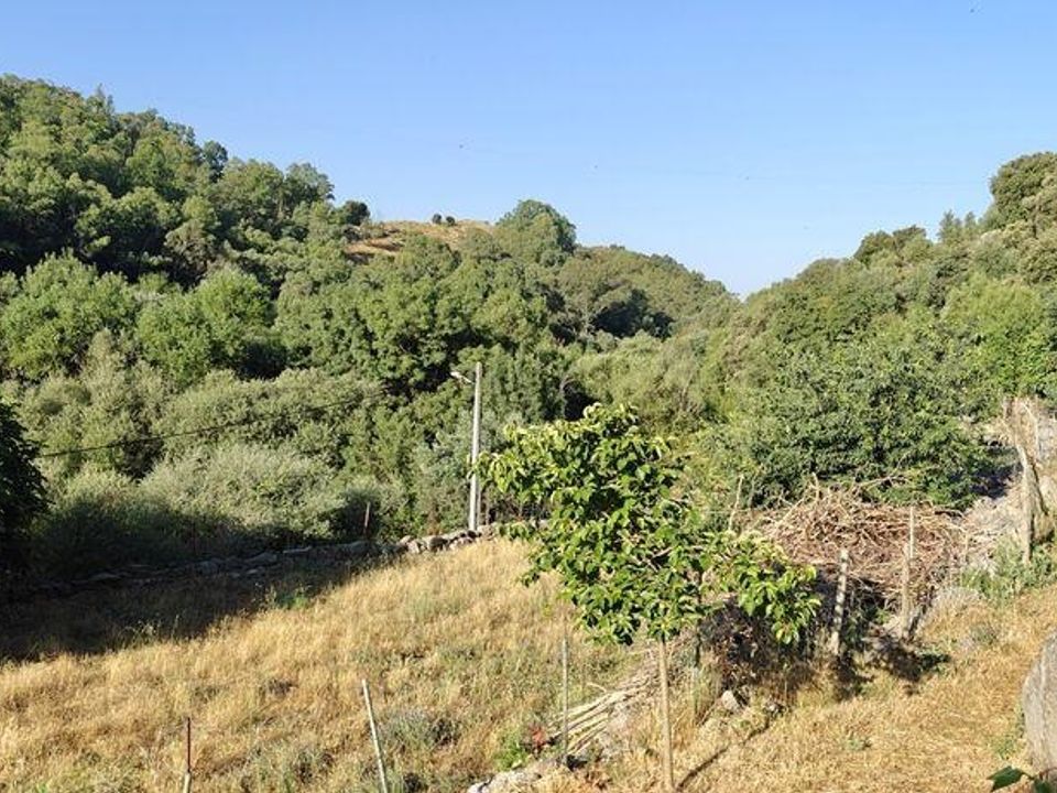 Farm i Idanha-a-Nova, Castelo Branco - foto 4